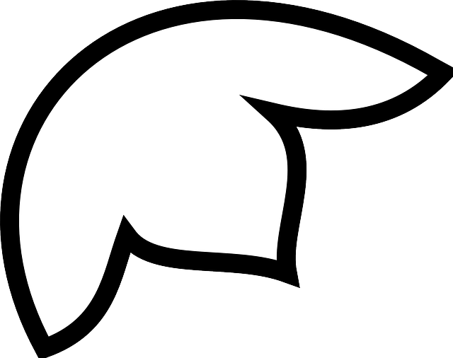 Leaf, Flower, White, Down, Plant, Looking - Floare Cu Trei Petale (640x506)