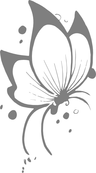Side Of Butterfly Clipart - Stickalz Llc Beautiful Butterfly Vinyl Wall Art Decal (330x592)