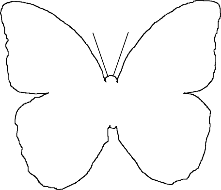 Butterfly Outline Printable Free Coloring Pages On - Butterfly Wing Template Printable (456x391)