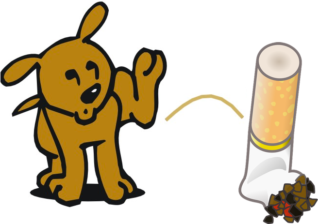5 Gross Facts About Smoking Whale Vomit Seriously - Dog Peeing On Fire Hydrant (685x489)