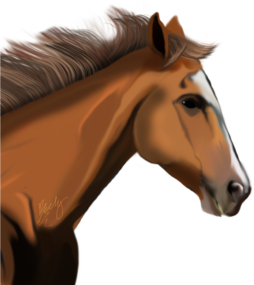 Horse Png Image - Horse Head Transparent Background (862x926)