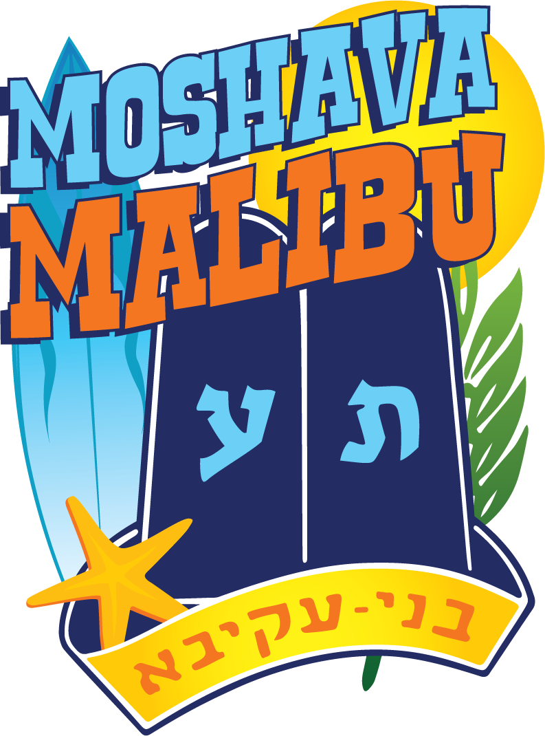 Register Today For Summer 2014 - Bnei Akiva (793x1070)