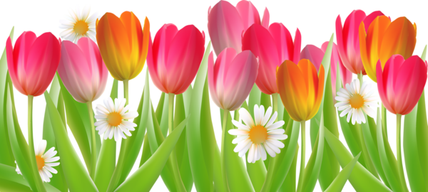 Mushrooms - Painting (600x270)