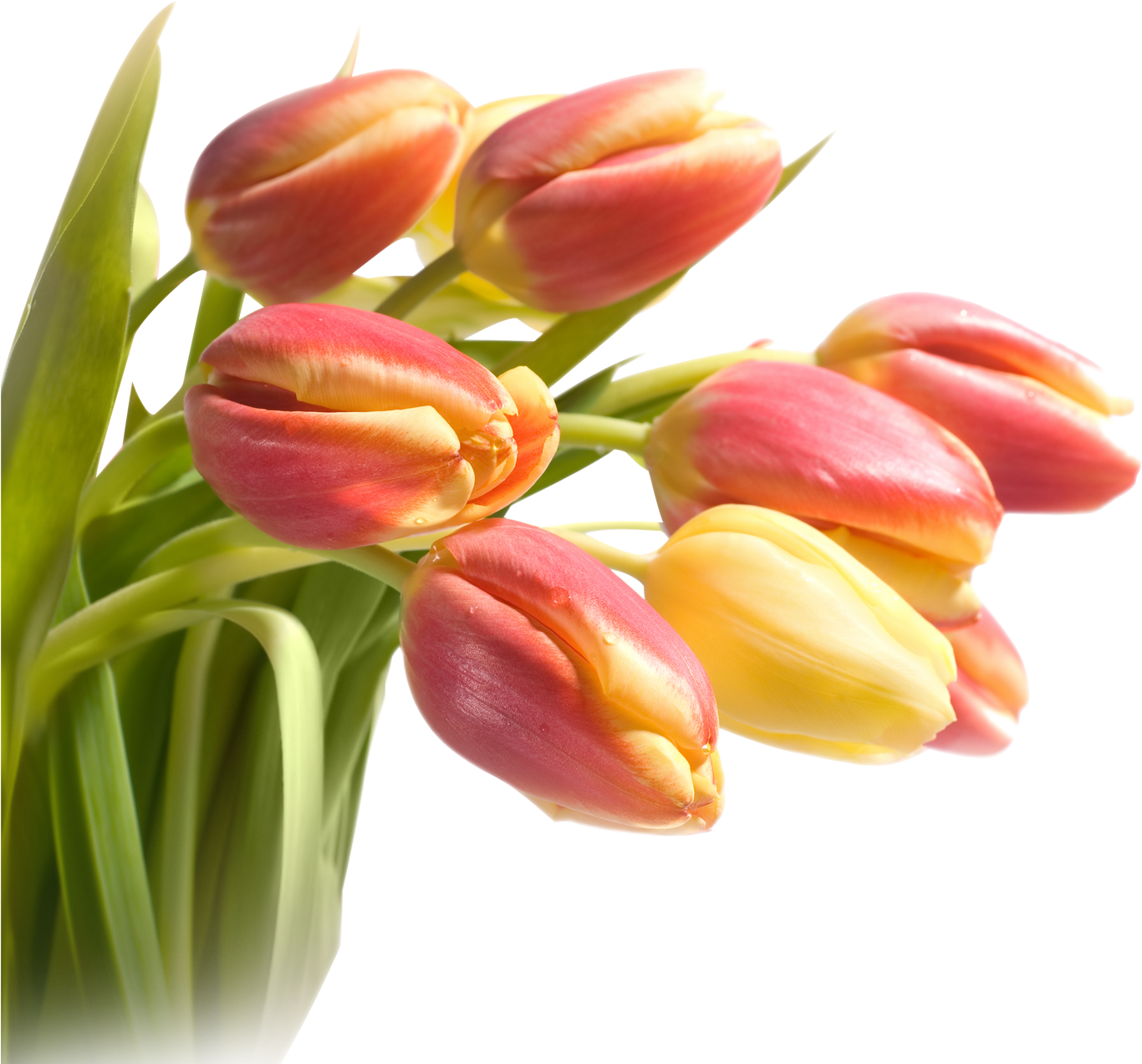 Paper Tulip Flower Bouquet Wallpaper - Dreamtao 3d Tulip Flower Diamond Cross Stitch Kit Diy (1417x1417)