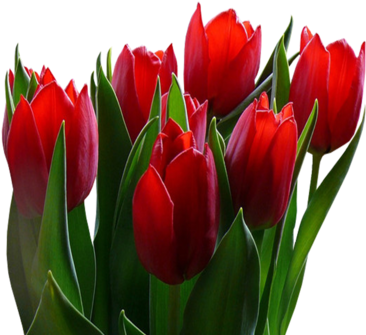 [ Img] - Jpeg (600x600)