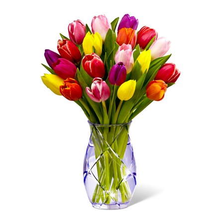 Tulips Bouquet - Tulips In Square Vase (442x442)