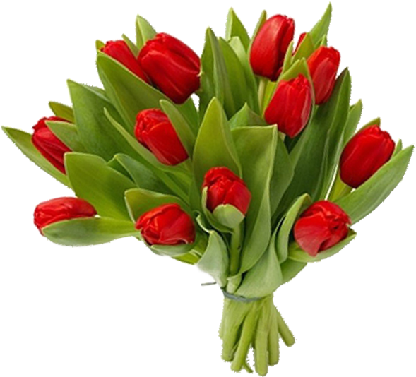 Букеты Из 13 Весенних Тюльпанов Купить В Ярославле - Buchet 11 Lalele (600x600)