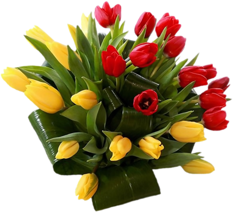 Png Lale Resimleri, Tulip Png Pictures - День Мед Работника 2018 (500x458)