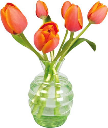Png Lale Resimleri, Tulip Png Pictures - Flat Flowers Raamstickers - Tulp Oranje (423x500)