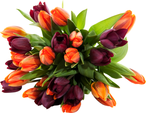 Png Lale Resimleri, Tulip Png Pictures - Flower Bouquet Image High Resolution (500x387)