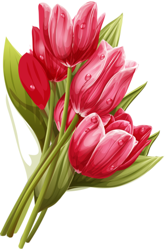 Png Lale Resimleri, Tulip Png Pictures - Islam (331x500)