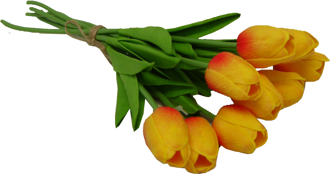 Orange Tulip Bundle - Business (1064x572)