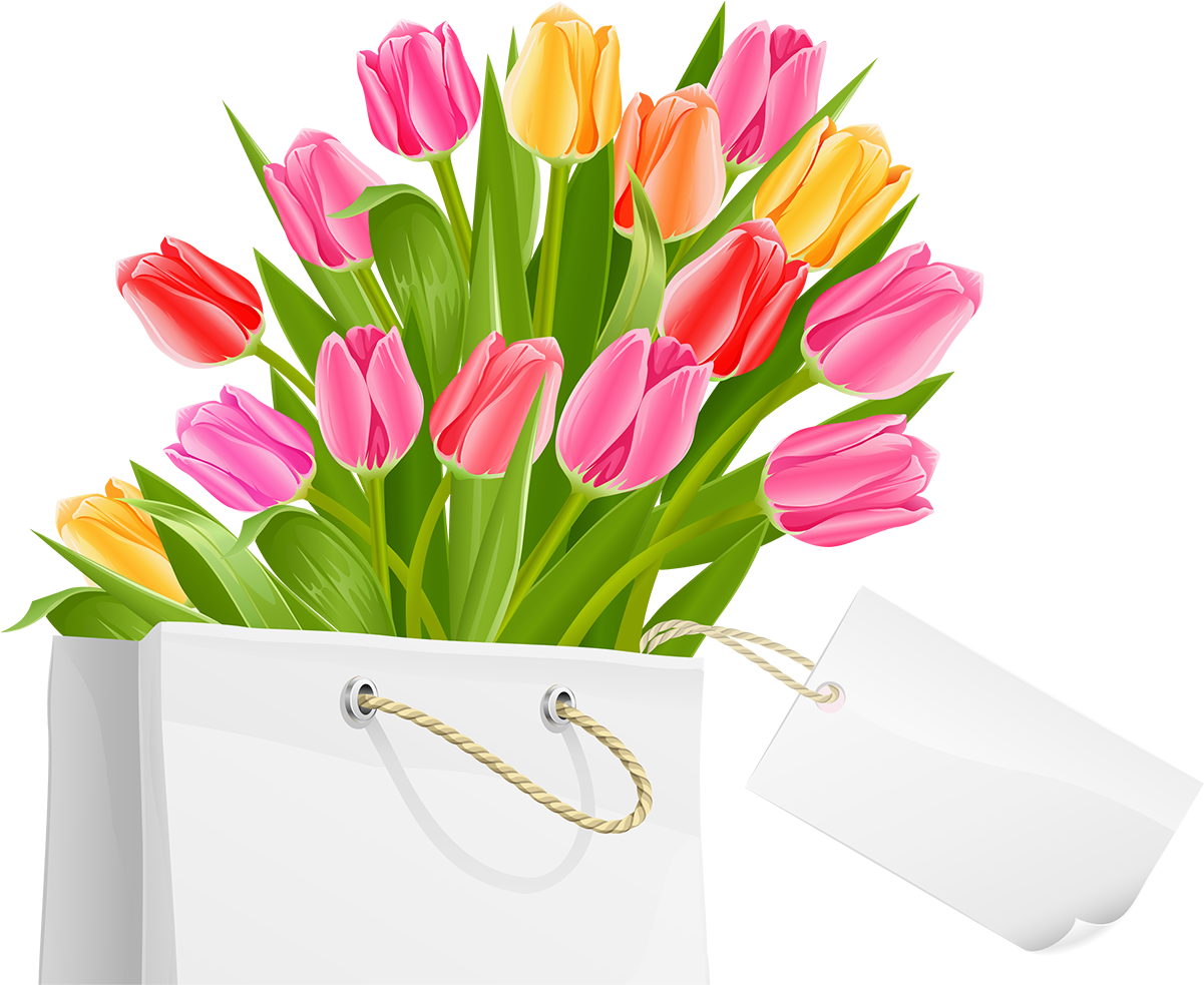 Flowers Flowers Png Spring Png Flower Png Tulips - Happy Women's Day 2018 (1201x983)