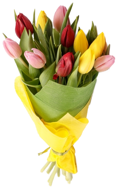 Букеты Из 11 Весенних Тюльпанов Купить В Ярославле - 11 Тюльпанов Букет (600x600)