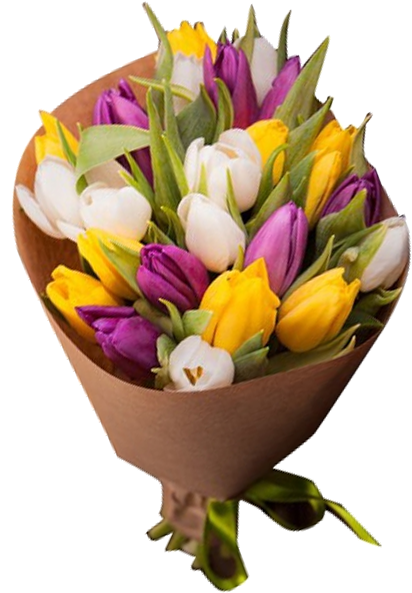 Букет Из 23 Тюльпанов - Flower Bouquet (600x600)