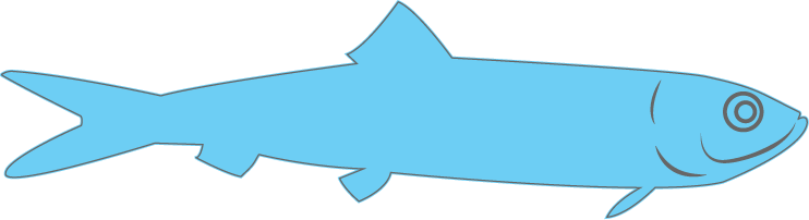 Small Fish - Seac Ab (742x202)