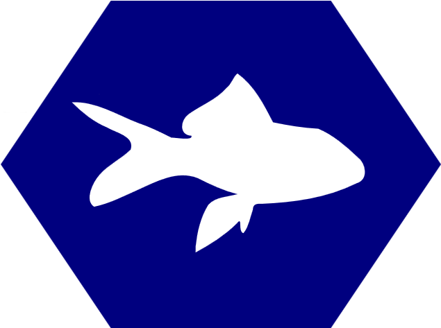 Fish Catch - Fish (640x480)