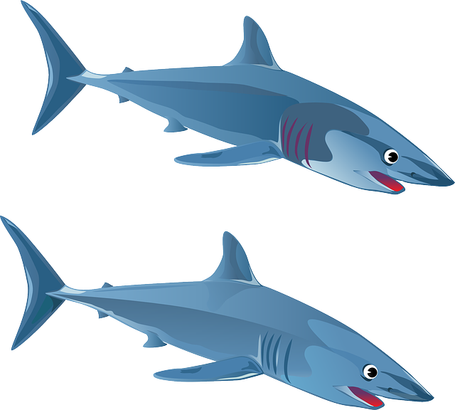 Shark, Fish, Animal, Blue, Ocean, Sea, Maritime - Gambar Animasi Ikan Hiu (640x576)