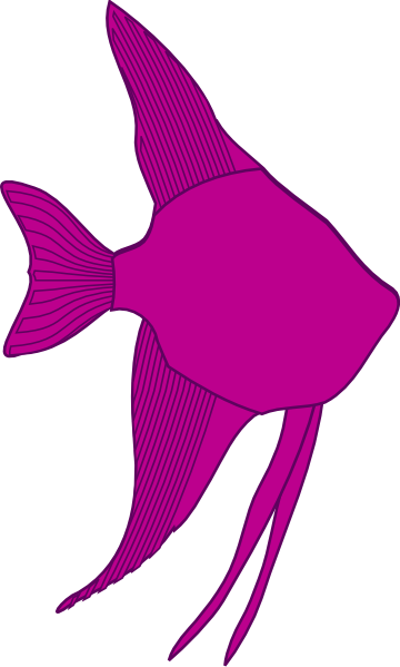 Angelfish Silhouette - Photo - Cartoon Angel Fish Clipart (360x599)