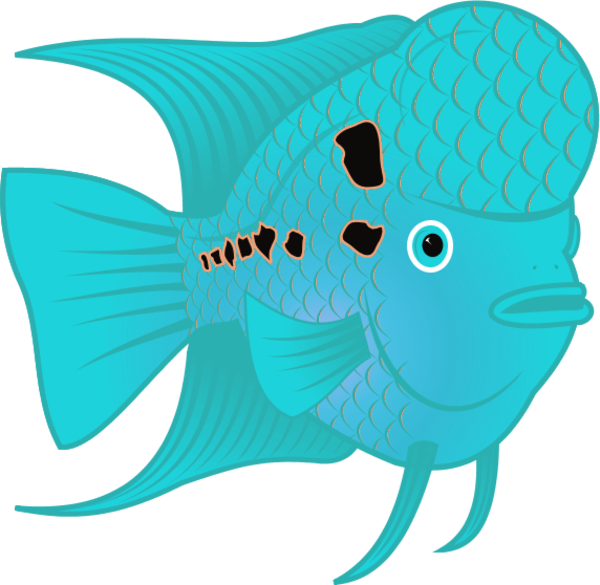 Flowerhorn Fish - Flower Horn Fish Clip Art (600x585)