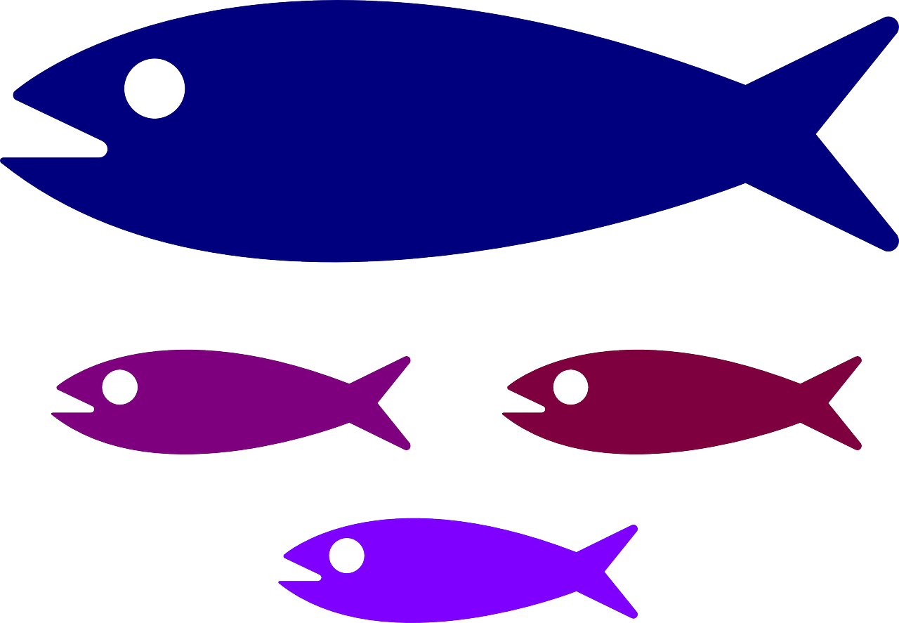 Shoal Fish Fish Family Water Png Image - Small Medium Large Fish (1280x887)