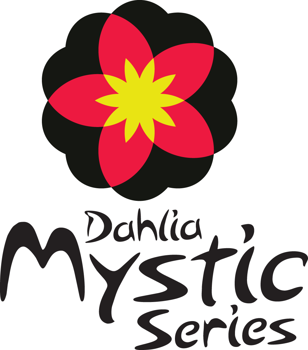 Dahlia Mystic Memories Eu - Dahlia (1000x1138)