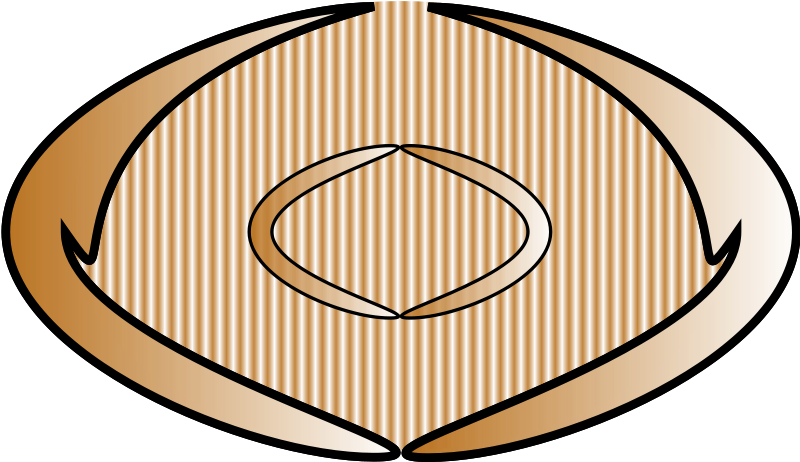 Buckle - Clipart - Copenhagen (800x478)