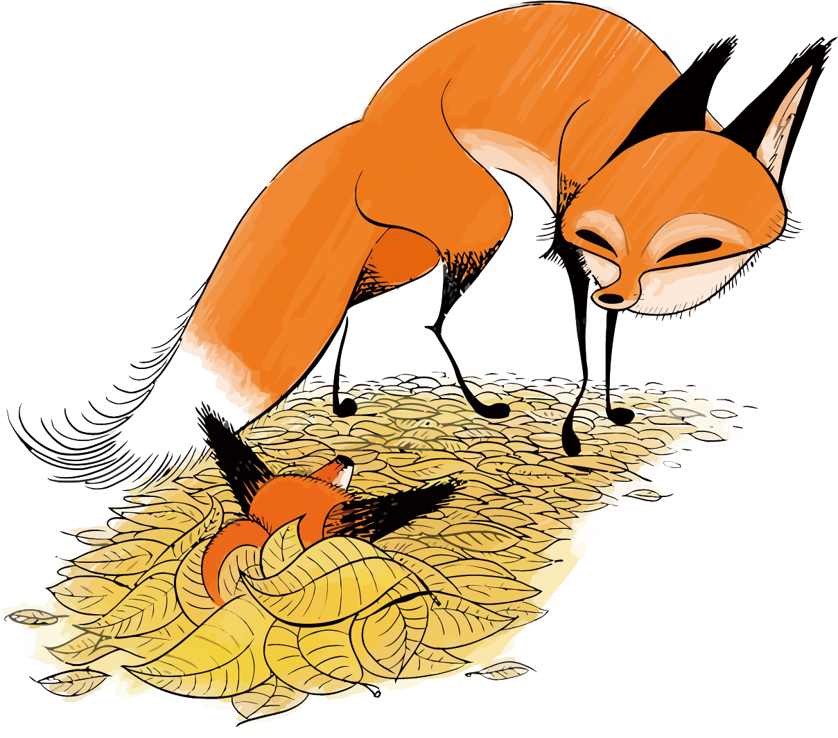 Red Fox Drawing Illustration - Red Fox Drawing Illustration (1500x1500)