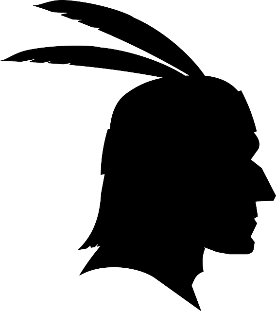 Chief, Native American, Feathers, Man, Male - Indian Silhouette Png (568x640)