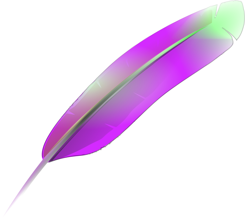 Feather Png Images - Cover Art (800x725)