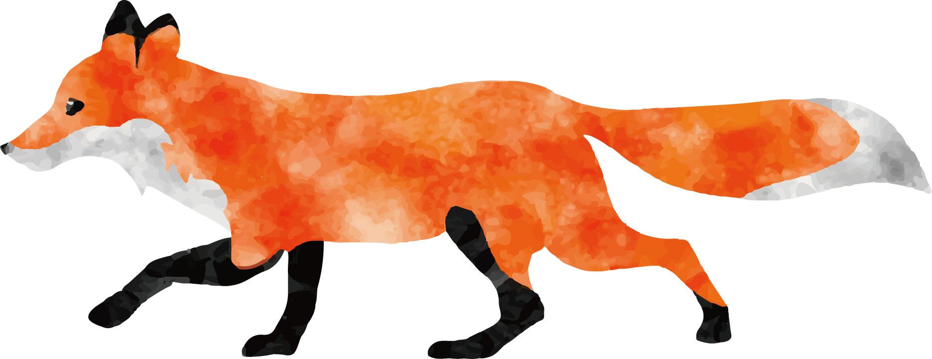 Watercolor Painting Fox Animal - Vector Graphics (1871x720)