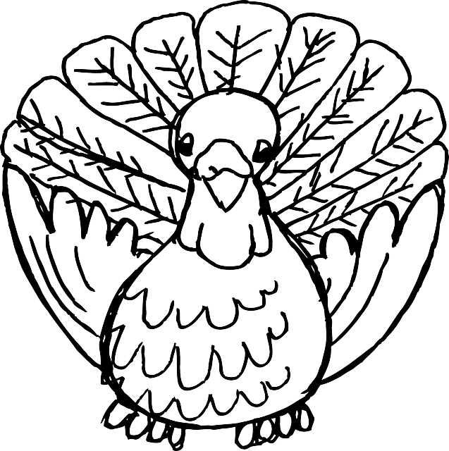 Animal, Beak, Bird, Domestic, Feather, Meat - Cartoon Turkey Shower Curtain (637x640)