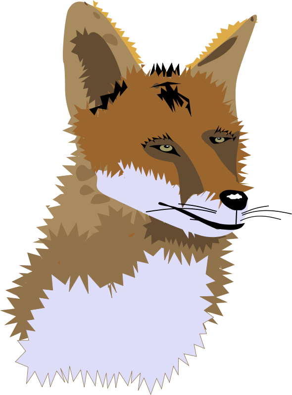 Free Fox Head Clip Art - Watercolor Painting (590x800)