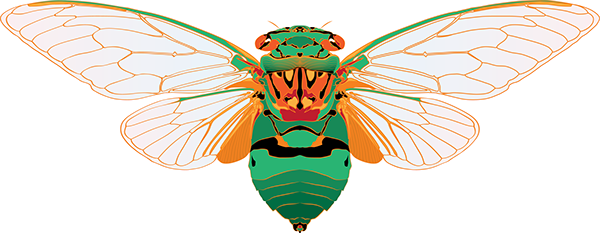 To Me, Australian Christmases Are About Cicadas And - Illustration (600x233)