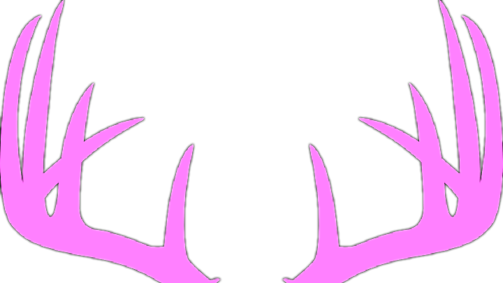 I - Love - Country - Music - Tumblr - Coat Of Arms Antlers (720x405)