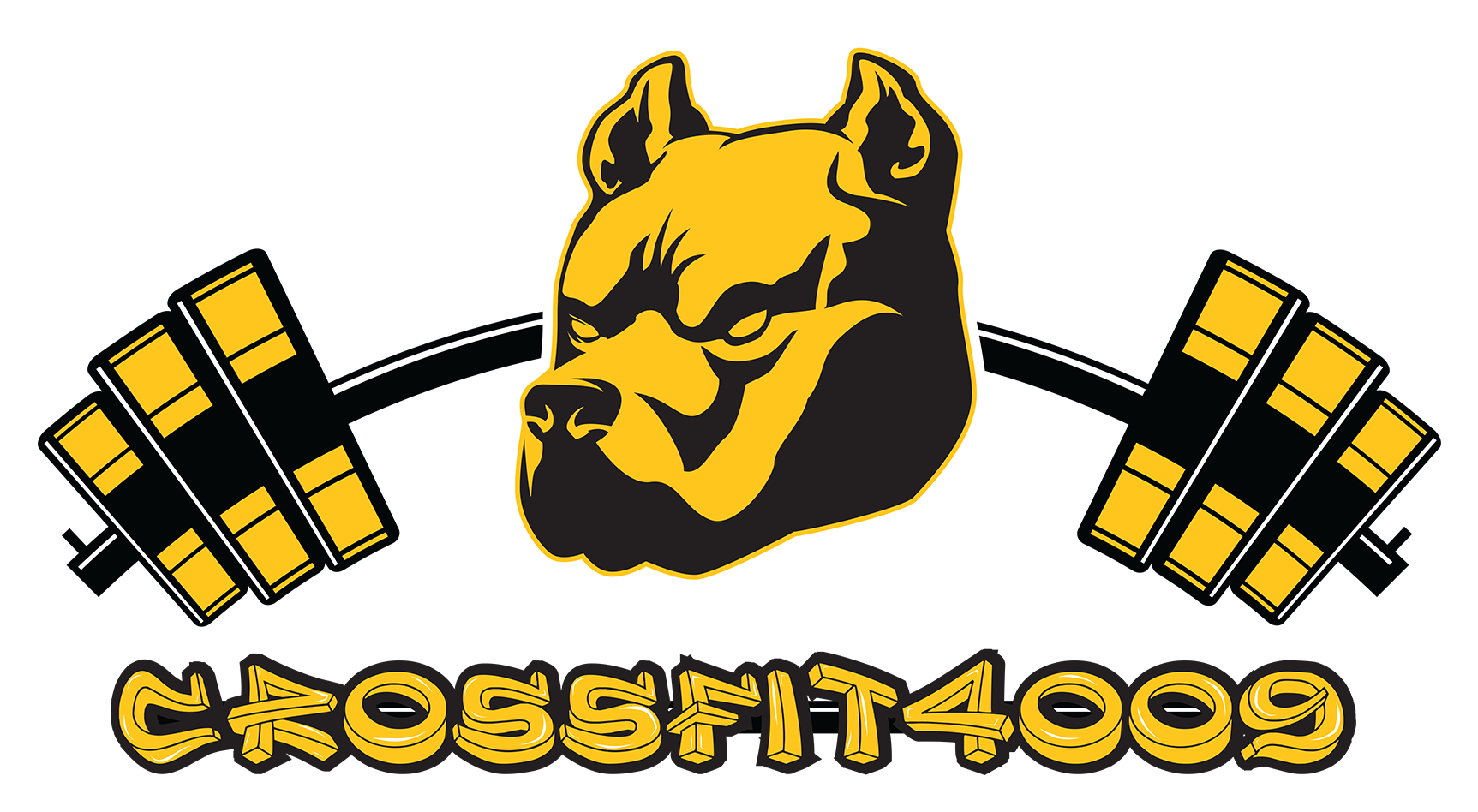 Cross Fit Brisbane - Crossfit (1794x1053)