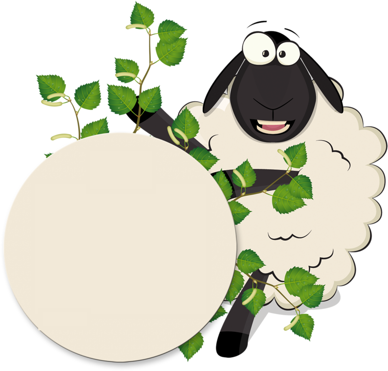 Image Du Blog Zezete2 - Sheep Holding A Sign (800x800)