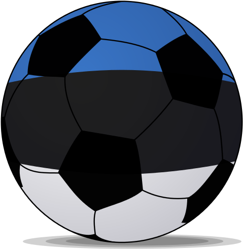 This Image Rendered As Png In Other Widths - Balon Futbol Vector Png (500x500)