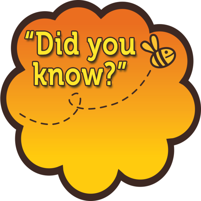 Hover Over Each 'did You Know' Below To Find Out 'if - Hover Over Each 'did You Know' Below To Find Out 'if (640x640)