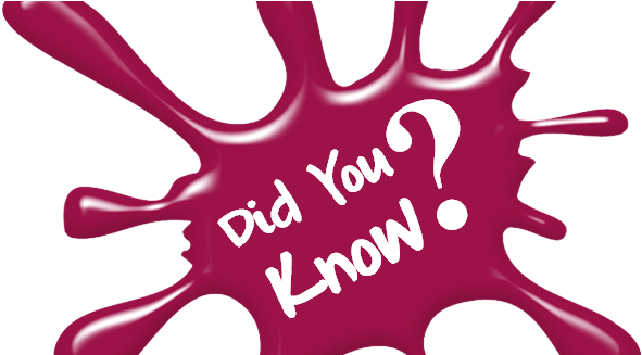 Do We Get From The Rainforest (620x326)