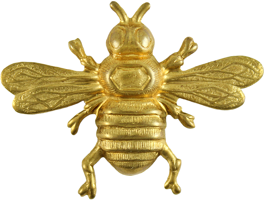 To Download The Png Version Click - Honeybee (965x727)