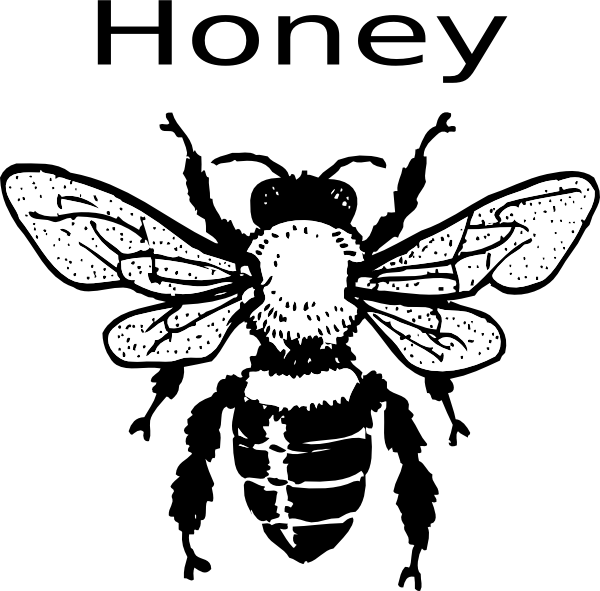 Free Honey Bee Clip Art Images Free Vector Honey Bee - Honey Bee Black And White (600x591)