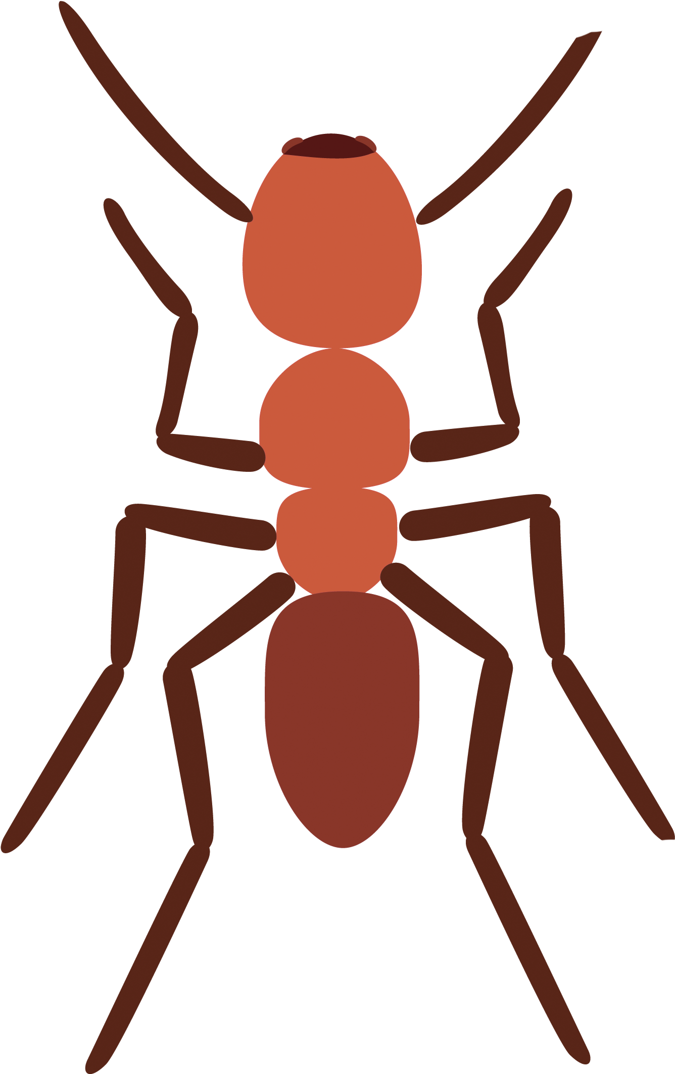 Scout Ant Clipart, Explore Pictures - Ant (1463x2192)