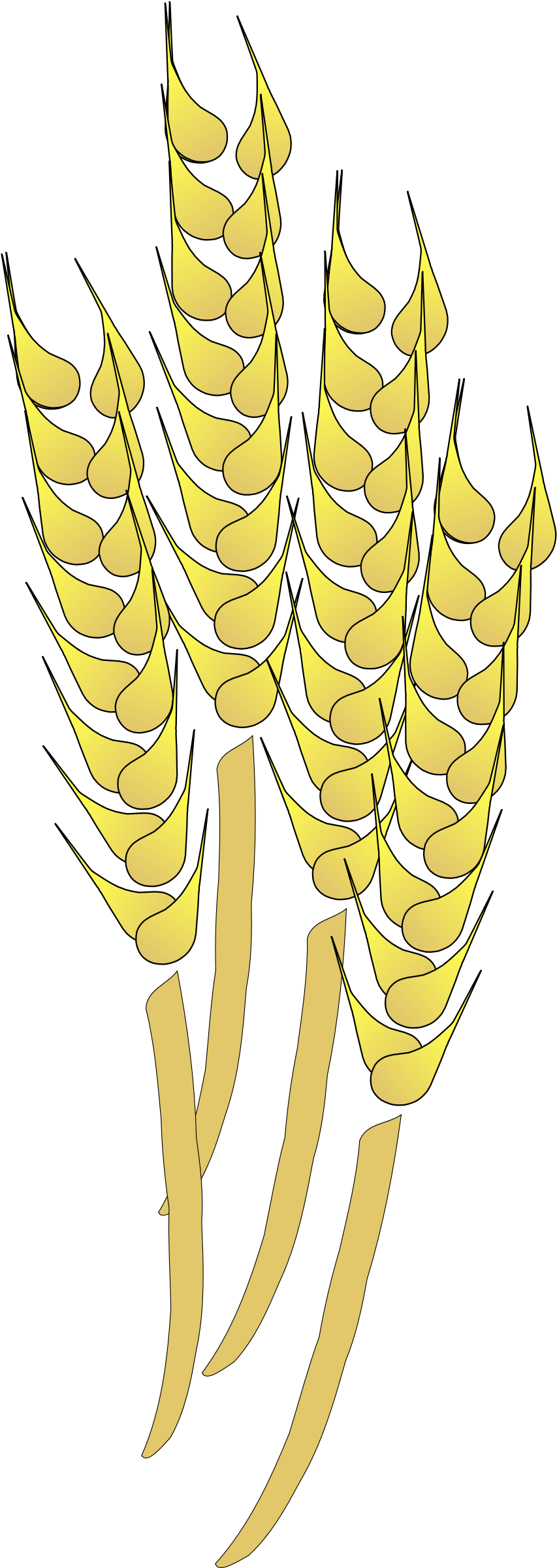 Wheat Clip Art (2400x2400)