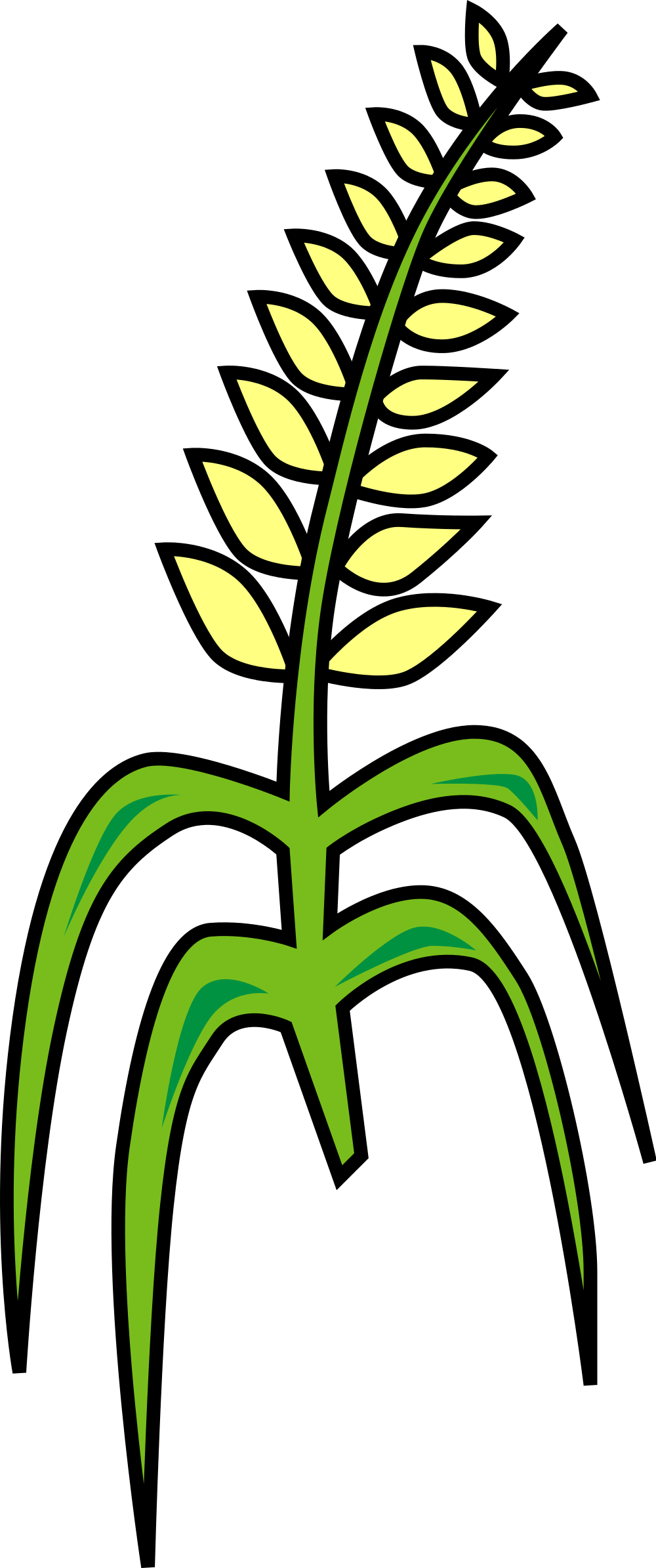 Grain Clipart - Grain Clipart (2000x4778)