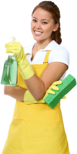 House Cleaning - Secret In Cleaning Your House Fast: Speed Cleaning (273x514)