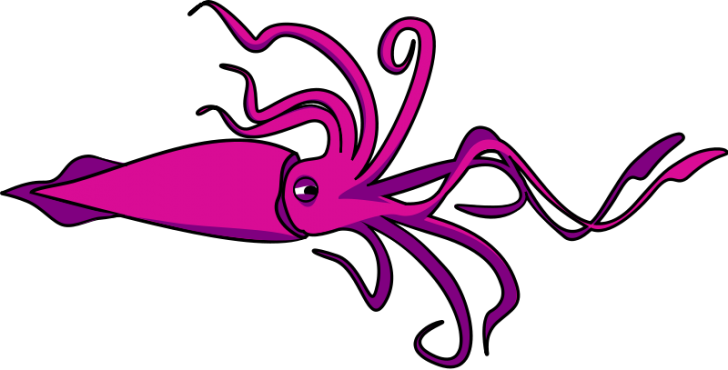 Permalink To Squid Clipart Cupcake Clipart - Squid Clipart (728x370)