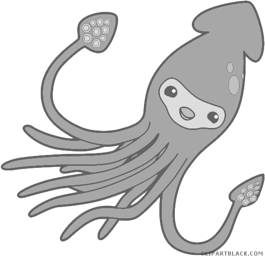Squid Animal Free Black White Clipart Images Clipartblack - Transparent Background Squid Clipart (547x536)