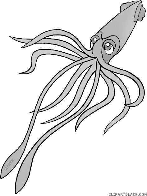 Squid Animal Free Black White Clipart Images Clipartblack - Illustration (496x648)