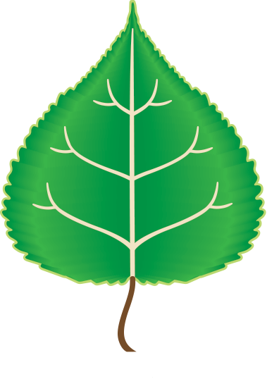 Patricia Townsend, Wsu Extension Feedstockleaf - Energy (379x538)